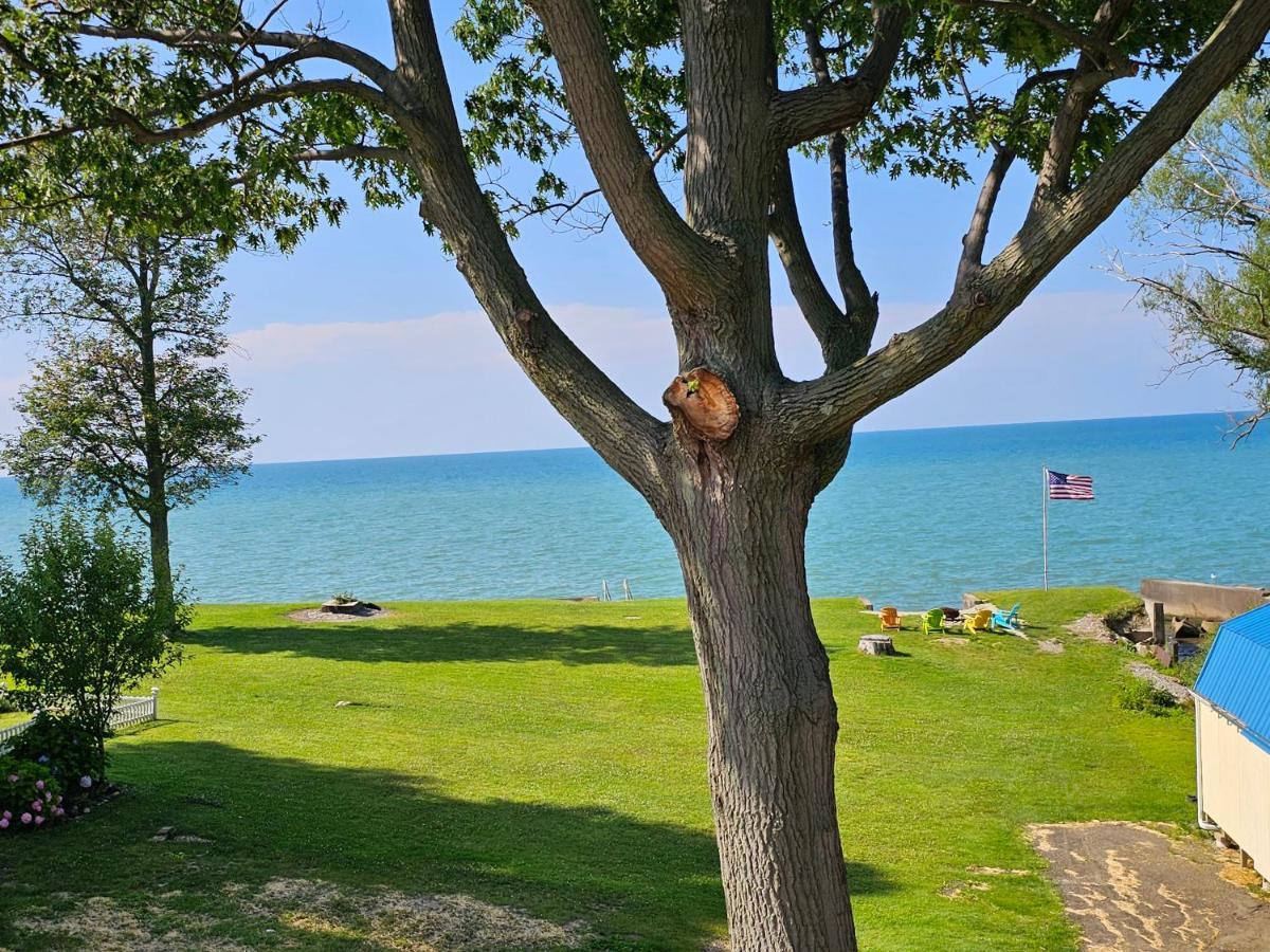 Ferienhaus Tree-top Lake-front